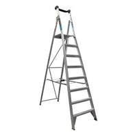 Easy Access Trade Series Platform Ladders 