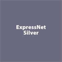 ExpressNet Silver PLA - 1.75mm - 0.5 kg roll