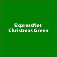 ExpressNet Christmas Green PLA Filament 