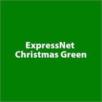 ExpressNet Christmas Green PLA Filament